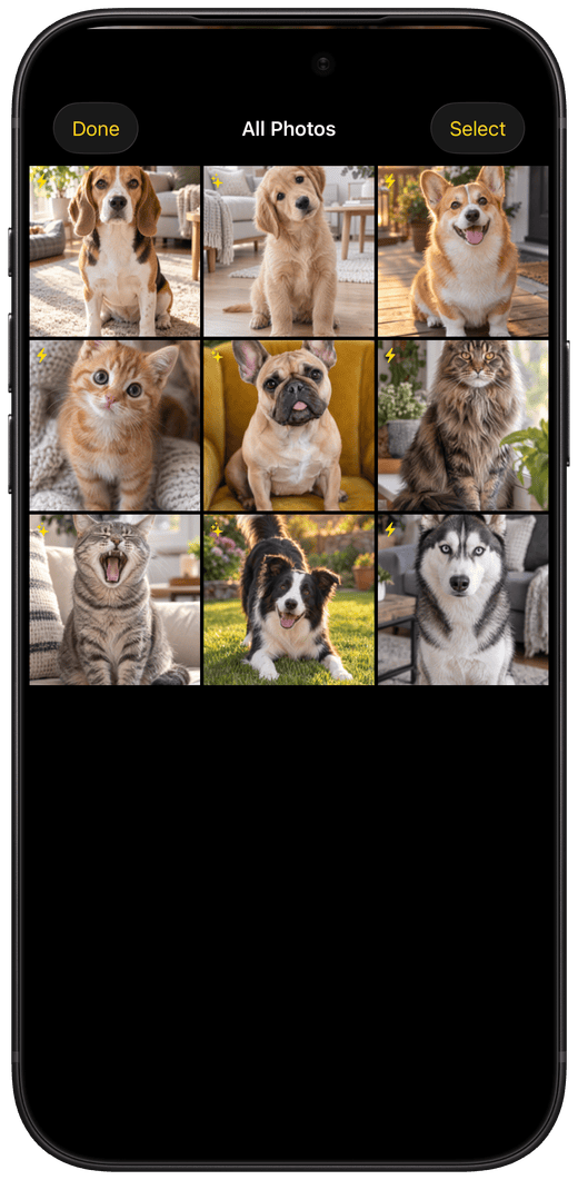Pet Cue’s photo grid after a session: beagles, a corgi, kittens, a French bulldog, a yawning cat, a border collie and a husky.