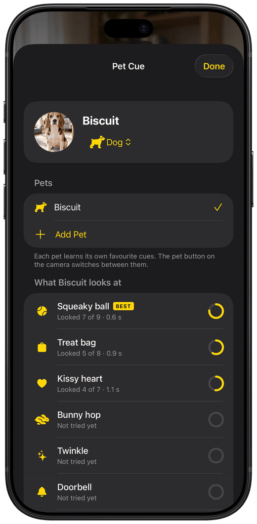 Pet Cue’s pet sheet for Biscuit the beagle: cues ranked by how often and how fast he looks, Squeaky ball marked BEST.