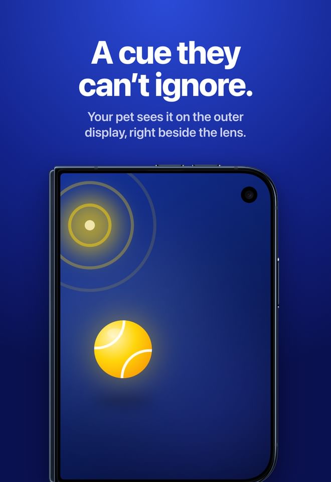 Outer display: a ball cue beside the lens. Your pet sees it on the outer display, right beside the lens.