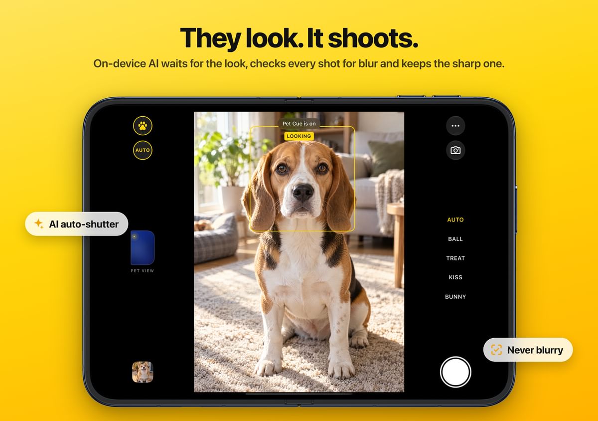 They look. It shoots. On-device AI takes the photo the instant your pet looks at the lens.