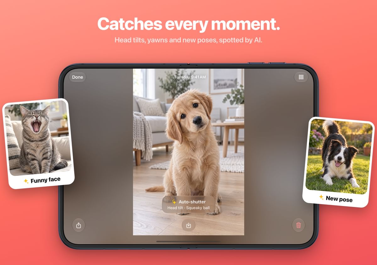 Catches every moment. Head tilts, yawns and new poses, spotted by AI.