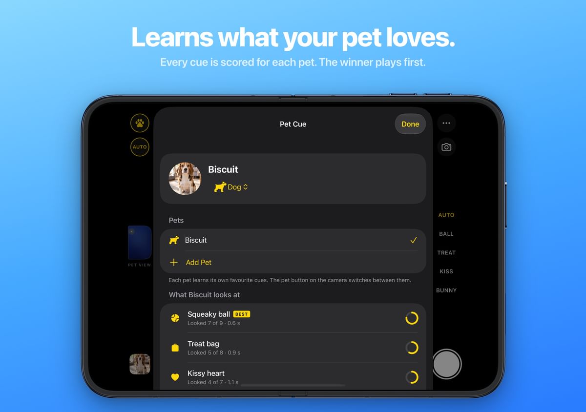 Learns what your pet loves. Every cue is scored for each pet; the winner plays first.
