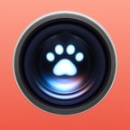 Pet Cue icon in Coral