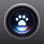 Pet Cue icon in Graphite
