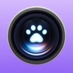 Pet Cue icon in Lilac