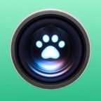 Pet Cue icon in Mint