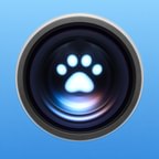 Pet Cue icon in Sky