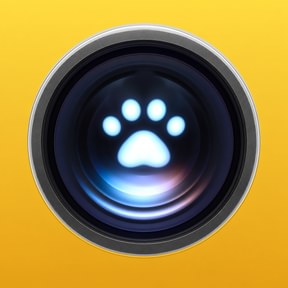 Pet Cue icon in Yellow