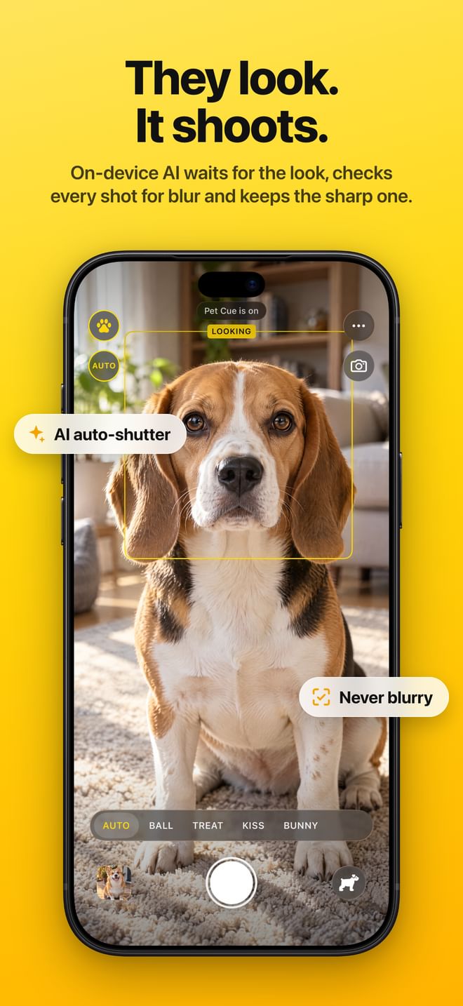 They look. It shoots. On-device AI takes the photo the instant your pet looks at the lens.