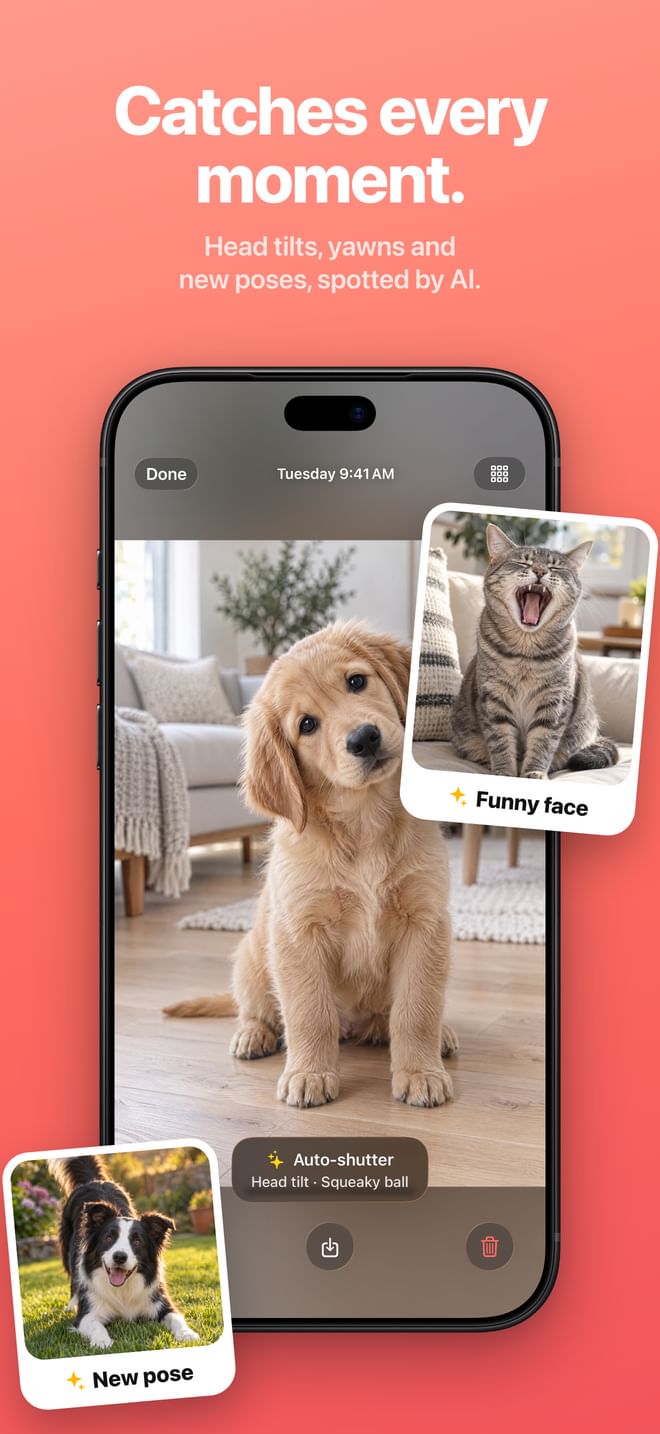 Catches every moment. Head tilts, yawns and new poses, spotted by AI.